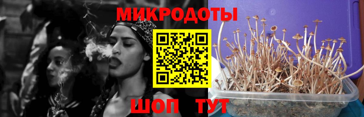 Псилоцибиновые грибы Psilocybe  Галлюциногенные грибы мухоморы  Вход с VPN  Соликамск 